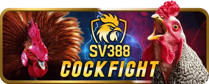 Hệ thống bảo mật an toàn của suncity888 win